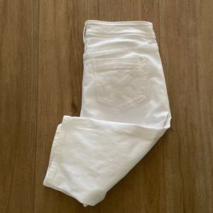 TOMMY BAHAMAS | Denim Jean shorts  W’s Size: 10